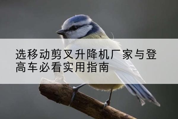 洪湖电动升降机厂家-选移动剪叉升降机厂家与登高车必看实用指南