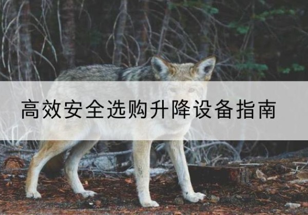 洪湖升降货梯厂家推荐-*安全选购升降设备指南