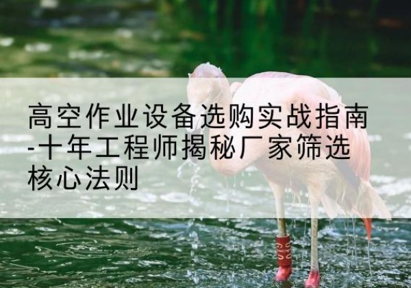 洪湖剪叉式升降机厂家-高空作业设备选购实战指南-十年工程师揭秘厂家筛选核心法则